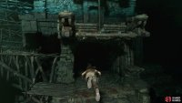 Open the gate