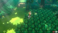 Wild Bulbasaur spotted!
