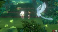 013 Weedle - Viridian Forest: To left of signpost opposite southern gatehouse. 