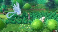 014 Kakuna - Route 13: Tall grass towards east. 