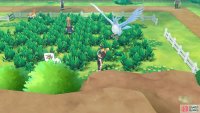 015 Beedrill - Route 8: Enclosed area halfway across. 