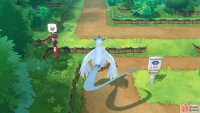 016 Pidgey - Route 2: On the left, near Viridian City. 