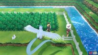 019 Rattata - Route 10: Above the Pokémon Center. 