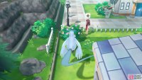 044 Gloom - Pewter City: Side path to left of Pok&eacute;mon Center. 