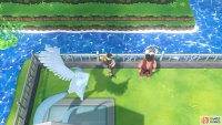 062 Poliwrath - Cerulean City: Back garden towards north-west. 