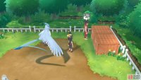 068 Machamp - Vermilion City: North-east corner.