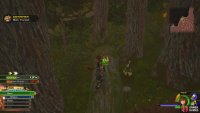 you’ll find a tree you can walk across in the northwest.
