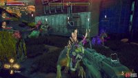 Kill some canids near the Bayside Terrace Ruins
