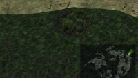 and ride it to an enclosed forest to the east to find Grandidi Forest Chocobo Forest