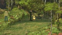 After chasing away its fellows, interact with the lone chicobo.
