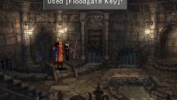 Return to the dungeon near where you fought Red Giant  and use the key to unlock a lever and pull it to drain some water.