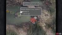 You’re able to see the gender of the frog upon catching it