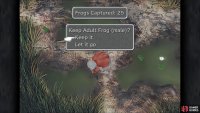 You will be told the gender of the frog whenever you catch one