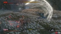 get behind him when he charges Ashina Cross