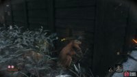 then search around the side of the house for a hole leading to more loot.