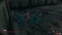Drop into the water here