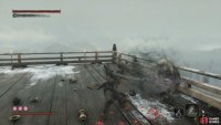 The Invisible White Monkey is behind your starting position