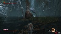 You can block this at the expense of Poison buildup