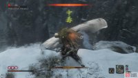use the Improved Sabimaru to poison Shirafuji.