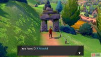 These can be used during battle to boost your Attack by 2 stages.