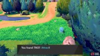 Attract makes an opposite gender Pokémon fall in love with yours, occasionally stopping it from attacking.