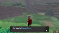 Pick up the Thunder Stone by the edge of the cliff.