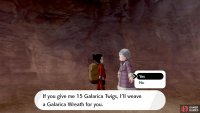 You need 15 twigs, which is double the amount needed for the Galarica Cuff. But you can return to the Isle of Armor to look for twigs there as well.