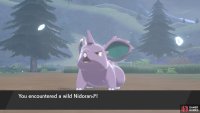 Male Nidoran