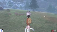 Nidoking