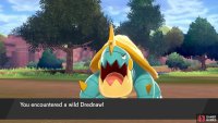 No. 043 Drednaw
