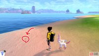 3/6: From Diglett 2, continue clock-wise around the island. Go past the tree, towards the next bed of red flowers. It’s burrowed in the sand to the left of these flowers.