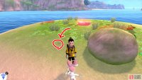 1/11: Start from the “petal” with a boulder that’s nearest the mainland. Look for a Diglett a few paces away from the boulder, in the direction of the very faraway Tower of Darkness.