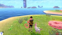 2/11: From Diglett 1, stay on the same “petal”. Where Diglett 1 was, face the Tower of Waters. The second Diglett is a short distance to the left of the Pokémon Den that’s here.