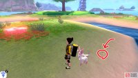 7/11: Remain on the “petal” where Diglett 6 is. Head past the Pokémon Den, towards the ocean. It’s on the shore, in the direction of the sea.
