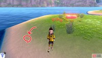 8/11: Go to the final “petal”. This one’s also on the shore, along the left side if your back is to the island’s centre. Only a few more to go! Wahoo!