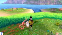 9/11: Head for the centre of the island, where the big tree is. There’s one among the red flowers in the direction of Diglett 8. Pluck it out and feel proud.