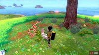 10/11: Plus another a few paces away from Diglett 9, if you walk clock-wise. It’s between two bunches of red flowers and some yellow flowers. Time to start planning what to do with your soon-to-be freedom.