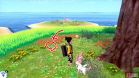 11/11: …And another if you continue walking clock-wise for a few more paces. It’s between some yellow flowers and red flowers near the tall grass. Go over and dig up that last blight on humanity.