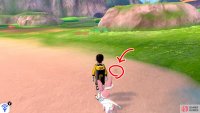5/18: Turn left after exiting Armor Station and follow the shoreline. On the sand, near where the beach ends.