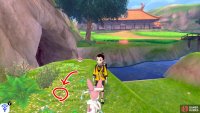 9/18: From Diglett 8, face the Master Dojo. Go left towards the river cave entrance. On the outcrop of land, next to the Sun Stone.