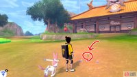 12/18: After crossing the bridge, next to some pebbles along the path to the Master Dojo.