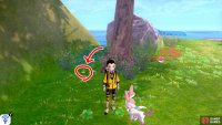 18/18: From Diglett 17, head in the direction of the ocean. Next to the big tree at the end of the plateau.