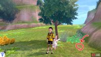 1/20: Next to skinny tree immediately on the left of the entrance (via the Fields of Honor).