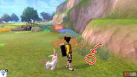 3/20: With the Fields of Honor behind you, go through the central pool referenced in Diglett 2. This one’s next to some shrubbery next to the cliff wall, near a red flowerbed.