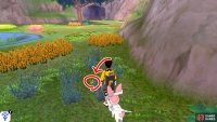 5/20: From the Fields of Honor entrance, turn right and go past two patches of tall grass, towards the direction of Brawlers’ Cave. Suspect 5 is in the middle of some shrubbery before some tall yellow grass.