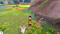 7/20: From Diglett 6, look left, towards the edge of the wetlands. There should be a lonesome log by the cliff wall. Search the area in front of it to find lucky 7.