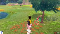9/20: From Diglett 8, turn right so the cliff wall is behind you. There should be a skinny tree ahead, with a red flowerbed next to it. Go up to that tree and search above the red flowers/left of the tree.