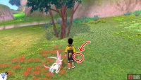 14/20: Head towards the entrance of the Forest of Focus, keeping close to the riverside. After going past the big patch of tall grass by the river, check the red flowerbed below the tall vegetation.