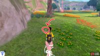 15/20: From Diglett 14, walk past the tall vegetation, towards the rocky wall. Slowly follow the wall to the forest. Just before the tree, look around the left bunch of yellow flowers.