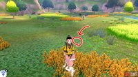 18/20: From Diglett 17, face Brawlers’ Cave. There should be two patches of tall yellow grass just ahead. Go up to the tall yellow grass on the right. The pesky thing is just above the left-most part of this bunch of grass.